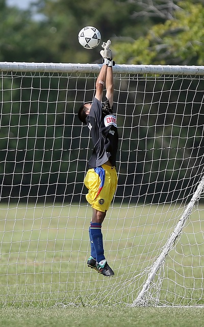 徐昕的表现 徐昕的表现