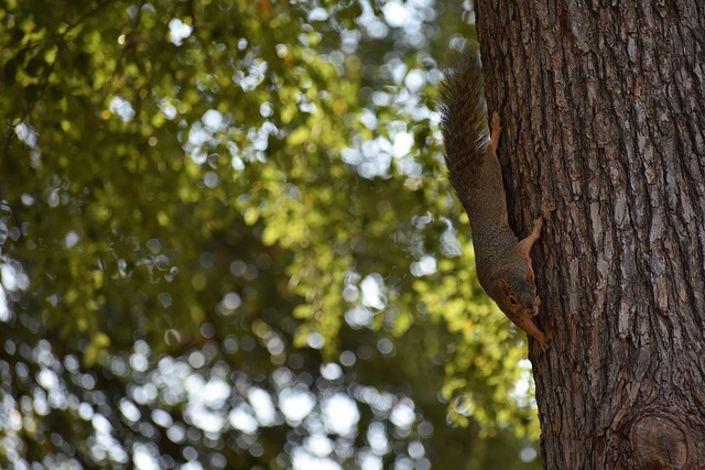 贵州旅游 贵州旅游