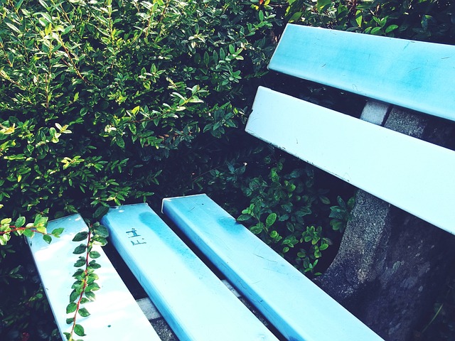 将如何进一 将如何进一