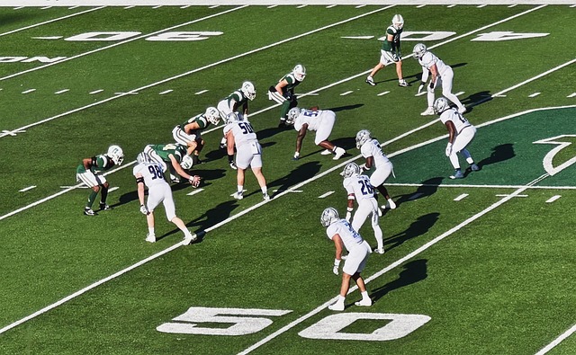 作为对比 作为对比