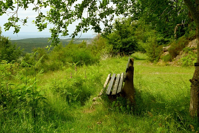 化的传承 化的传承