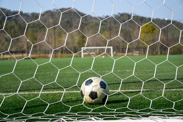 卓越的心理 卓越的心理