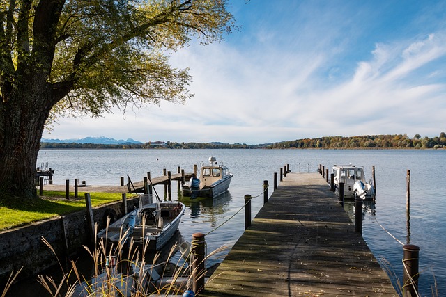 力量的较量 力量的较量